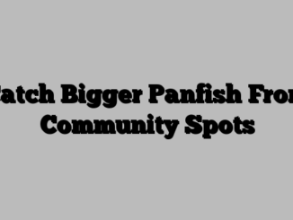 Catch Bigger Panfish From Community Spots