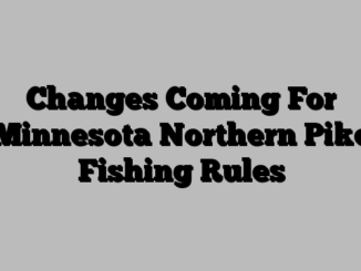 Changes Coming For Minnesota Northern Pike Fishing Rules