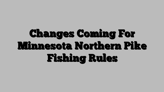 Changes Coming For Minnesota Northern Pike Fishing Rules