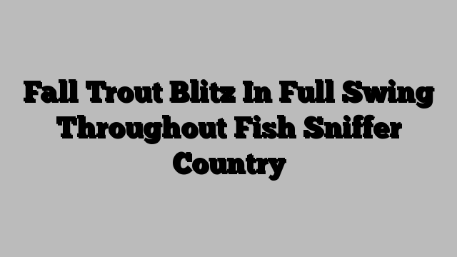 Fall Trout Blitz In Full Swing Throughout Fish Sniffer Country