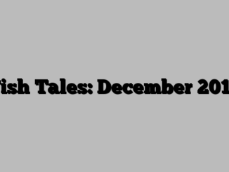 Fish Tales: December 2017