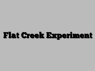 Flat Creek Experiment