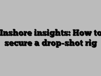 Inshore insights: How to secure a drop-shot rig