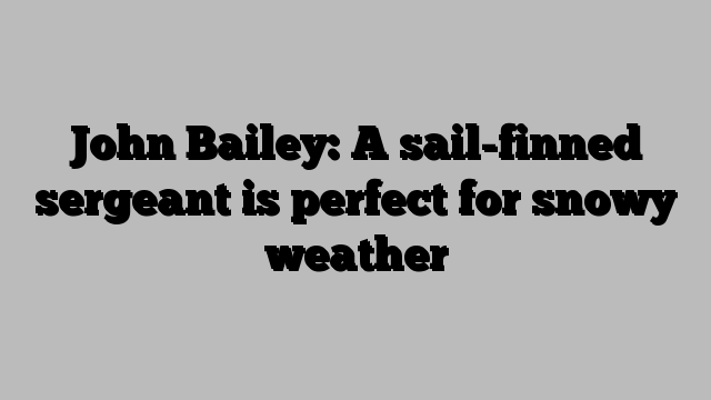 John Bailey: A sail-finned sergeant is perfect for snowy weather