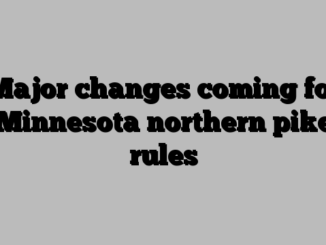 Major changes coming for Minnesota northern pike rules