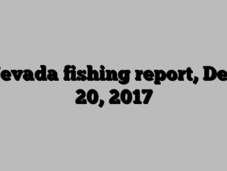 Nevada fishing report, Dec. 20, 2017