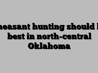 Pheasant hunting should be best in north-central Oklahoma