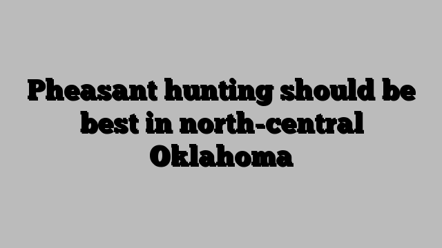 Pheasant hunting should be best in north-central Oklahoma