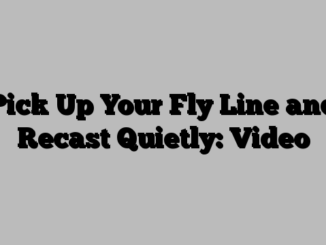 Pick Up Your Fly Line and Recast Quietly: Video