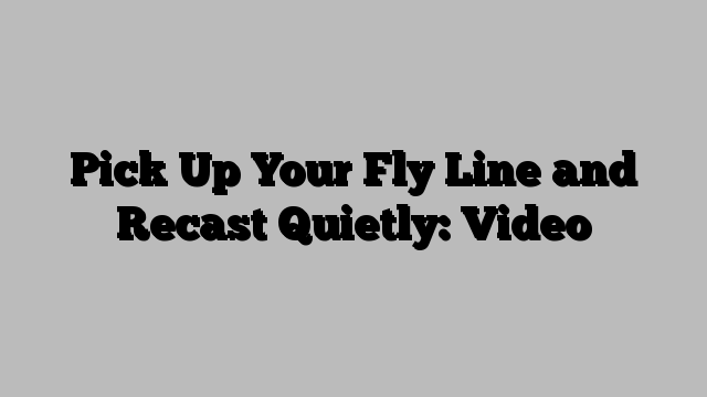 Pick Up Your Fly Line and Recast Quietly: Video