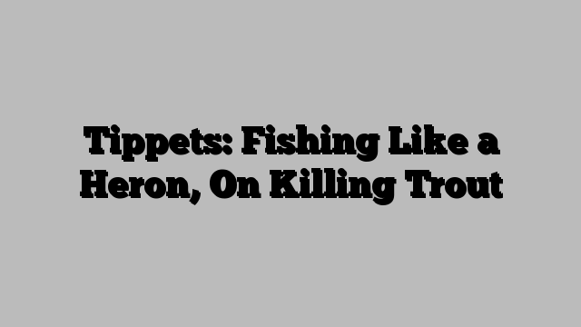 Tippets: Fishing Like a Heron, On Killing Trout