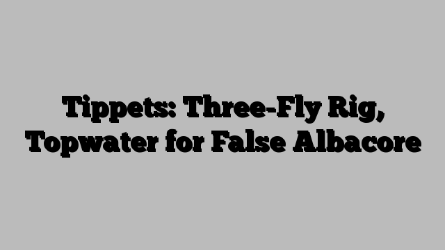 Tippets: Three-Fly Rig, Topwater for False Albacore