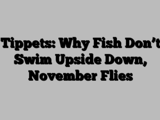 Tippets: Why Fish Don’t Swim Upside Down, November Flies