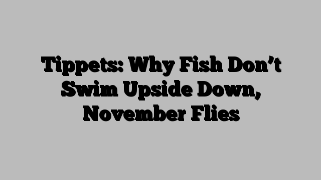 Tippets: Why Fish Don’t Swim Upside Down, November Flies