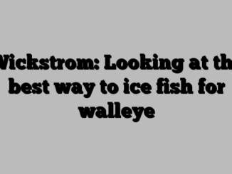 Wickstrom: Looking at the best way to ice fish for walleye