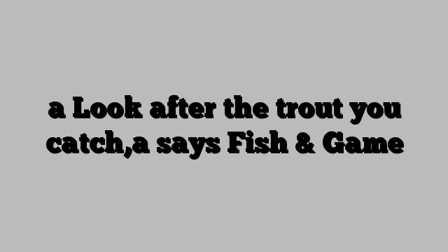 a Look after the trout you catch,a says Fish & Game