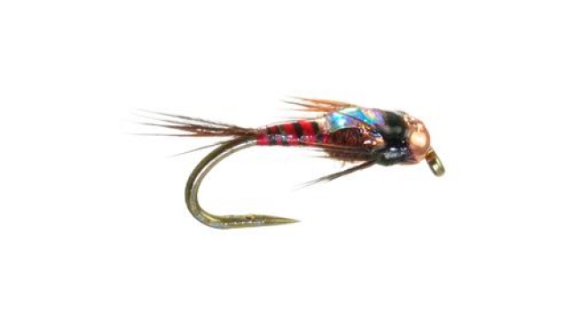 Top 5 Flies for December in the Rockies