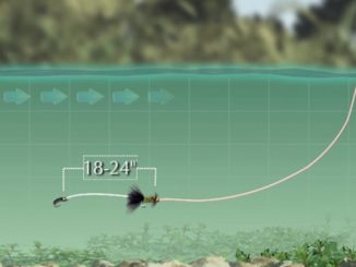 Video: How to Fish Streamers for Big Trout