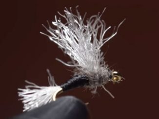 Video: How to Tie the Zelon Musk Midge