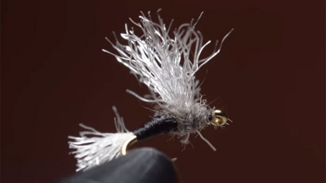 Video: How to Tie the Zelon Musk Midge