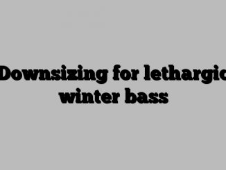 Downsizing for lethargic winter bass