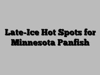 Late-Ice Hot Spots for Minnesota Panfish