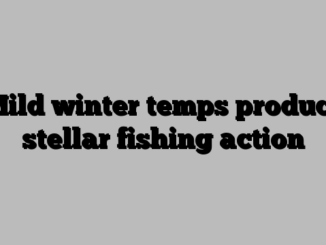 Mild winter temps produce stellar fishing action