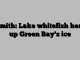 Smith: Lake whitefish heat up Green Bay’s ice