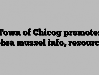 Town of Chicog promotes zebra mussel info, resources