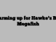 Warming up for Hawke’s Bay Megafish