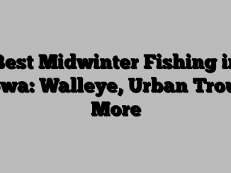 Best Midwinter Fishing in Iowa: Walleye, Urban Trout, More