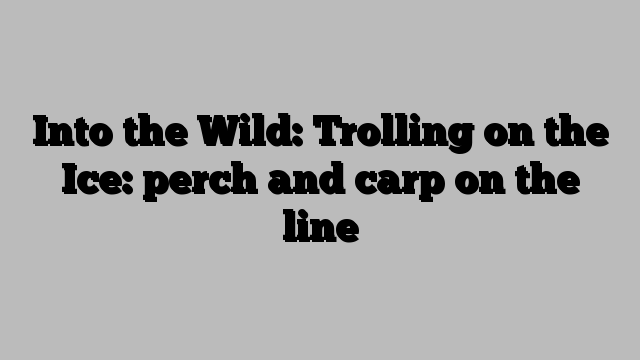 Into the Wild: Trolling on the Ice: perch and carp on the line