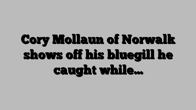 Cory Mollaun of Norwalk shows off his bluegill he caught while…
