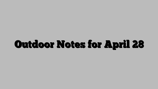 Outdoor Notes for April 28