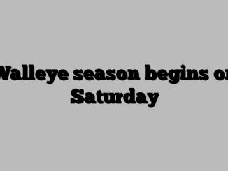 Walleye season begins on Saturday