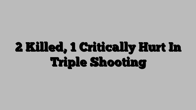 2 Killed, 1 Critically Hurt In Triple Shooting