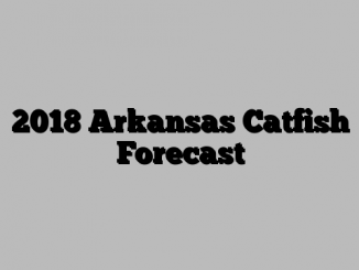2018 Arkansas Catfish Forecast