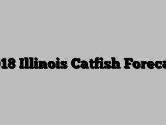 2018 Illinois Catfish Forecast