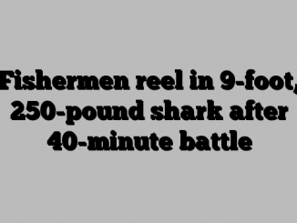 Fishermen reel in 9-foot, 250-pound shark after 40-minute battle