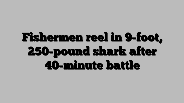 Fishermen reel in 9-foot, 250-pound shark after 40-minute battle