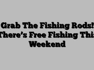 Grab The Fishing Rods! There’s Free Fishing This Weekend