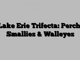 Lake Erie Trifecta: Perch, Smallies & Walleyes