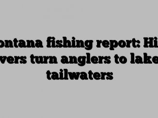 Montana fishing report: High rivers turn anglers to lakes, tailwaters