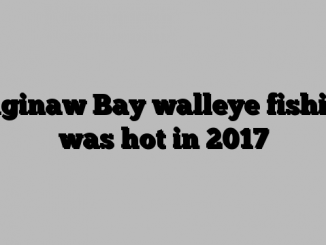 Saginaw Bay walleye fishing was hot in 2017