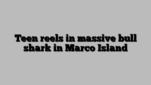 Teen reels in massive bull shark in Marco Island