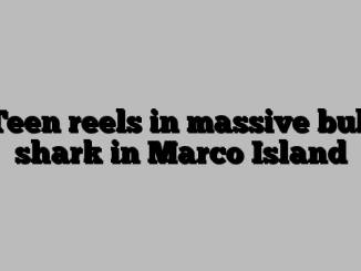 Teen reels in massive bull shark in Marco Island