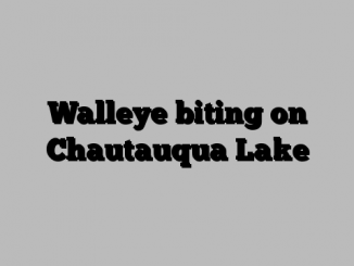 Walleye biting on Chautauqua Lake