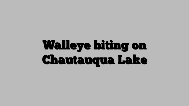 Walleye biting on Chautauqua Lake