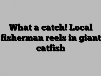 What a catch! Local fisherman reels in giant catfish