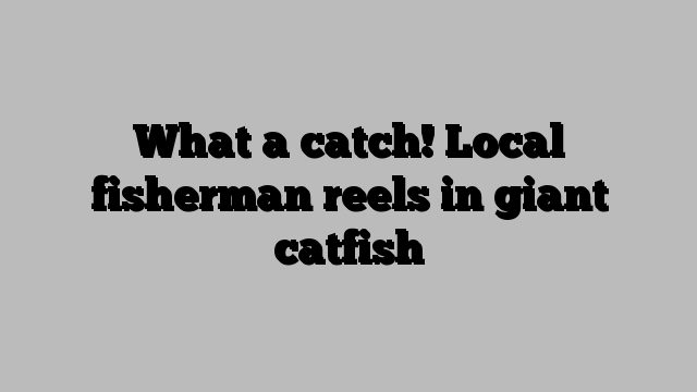 What a catch! Local fisherman reels in giant catfish